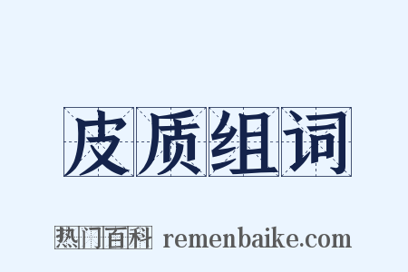 皮质组词是什么意思的图片